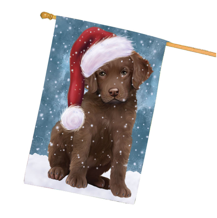 Christmas Let it Snow Chesapeake Bay Retriever Dog House Flag Outdoor Decorative Double Sided Pet Portrait Weather Resistant Premium Quality Animal Printed Home Decorative Flags 100% Polyester FLG67915