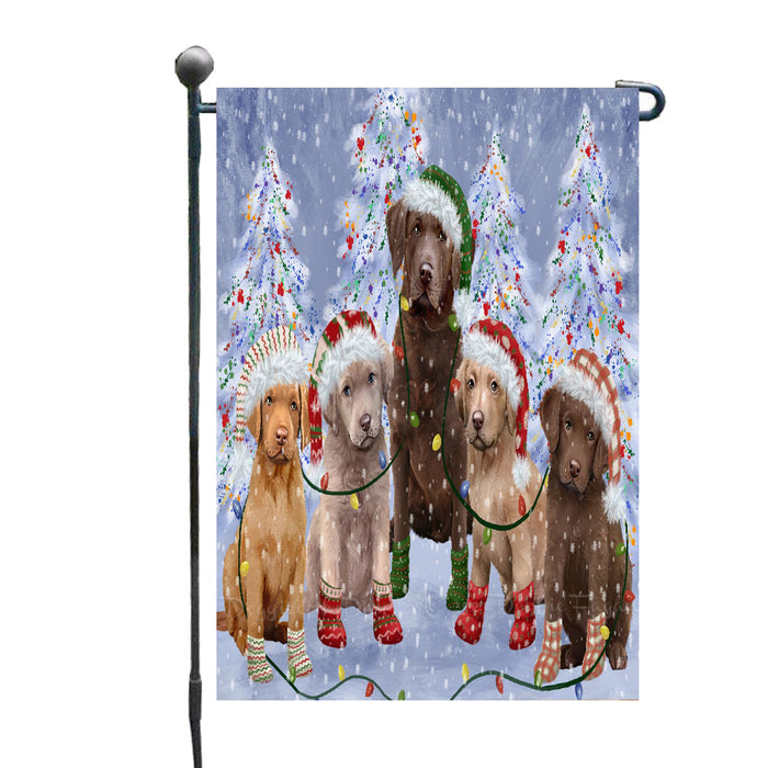 Christmas Lights and Chesapeake Bay Retriever Dogs Garden Flags- Outdoor Double Sided Garden Yard Porch Lawn Spring Decorative Vertical Home Flags 12 1/2"w x 18"h