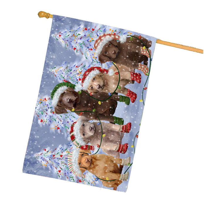 Christmas Lights and Chesapeake Bay Retriever Dogs House Flag Outdoor Decorative Double Sided Pet Portrait Weather Resistant Premium Quality Animal Printed Home Decorative Flags 100% Polyester