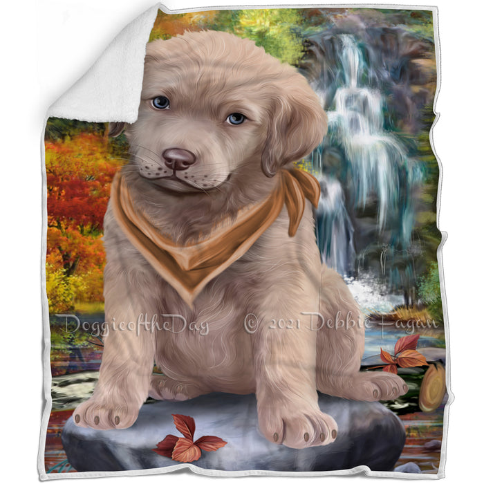 Scenic Waterfall Chesapeake Bay Retriever Dog Blanket BLNKT63183