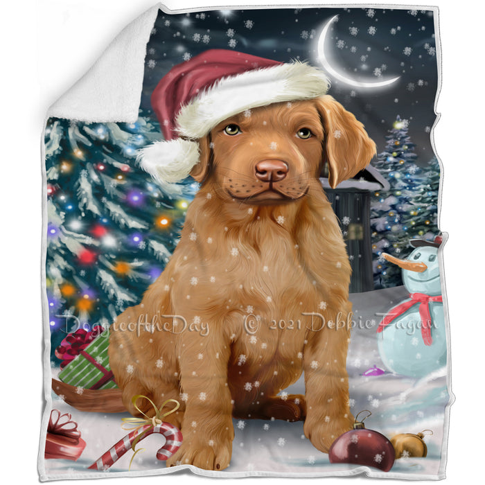 Have a Holly Jolly Christmas Chesapeake Bay Retrievers Dog in Holiday Background Blanket D150