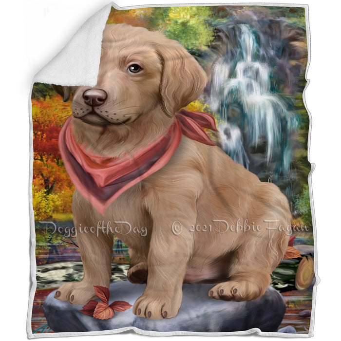 Scenic Waterfall Chesapeake Bay Retriever Dog Blanket BLNKT63192