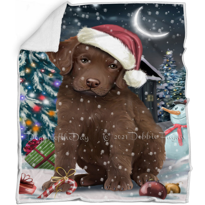 Have a Holly Jolly Christmas Chesapeake Bay Retrievers Dog in Holiday Background Blanket D151