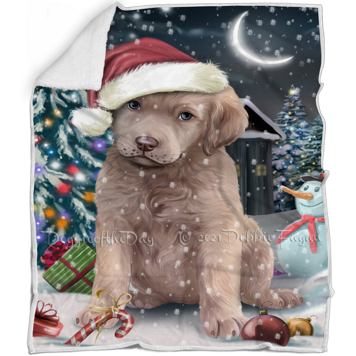Have a Holly Jolly Christmas Chesapeake Bay Retrievers Dog in Holiday Background Blanket D152