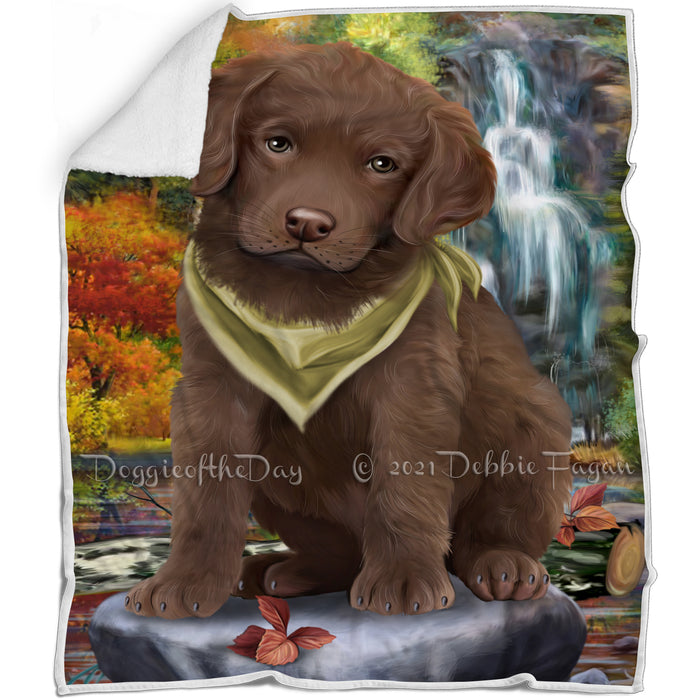 Scenic Waterfall Chesapeake Bay Retriever Dog Blanket BLNKT63201