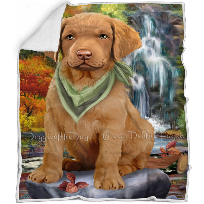 Scenic Waterfall Chesapeake Bay Retriever Dog Blanket BLNKT63210