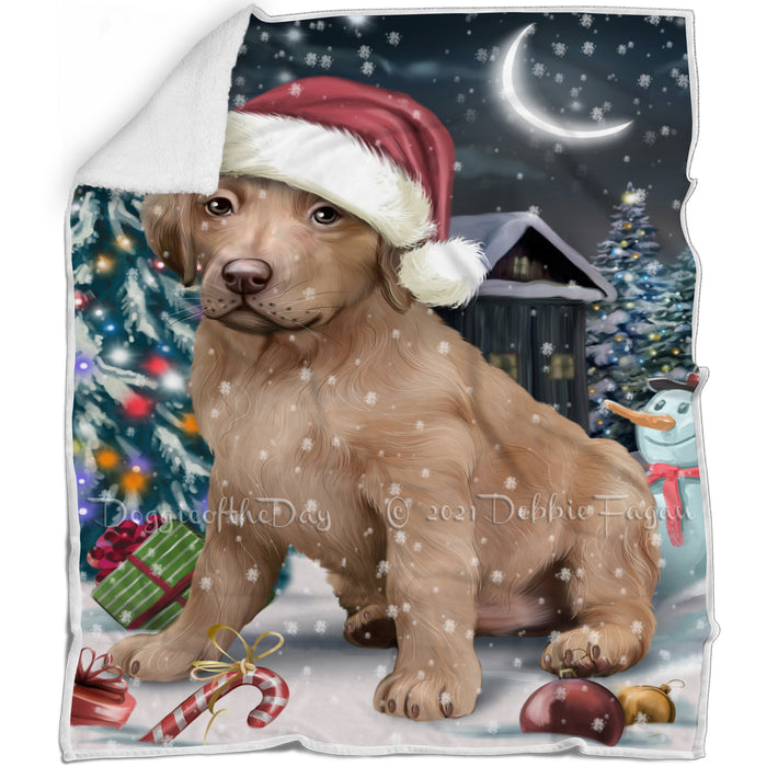 Have a Holly Jolly Christmas Chesapeake Bay Retrievers Dog in Holiday Background Blanket D153