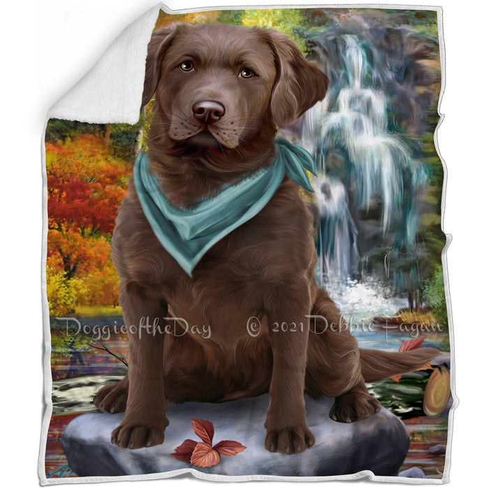 Scenic Waterfall Chesapeake Bay Retriever Dog Blanket BLNKT63219