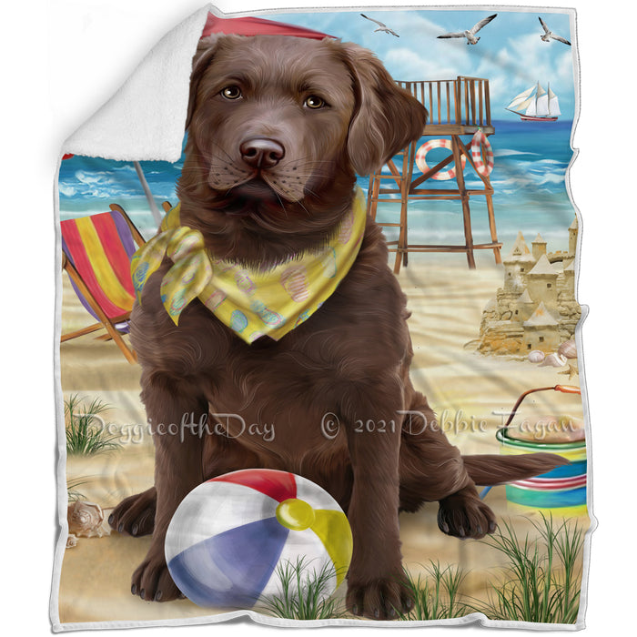 Pet Friendly Beach Chesapeake Bay Retriever Dog Blanket BLNKT65856