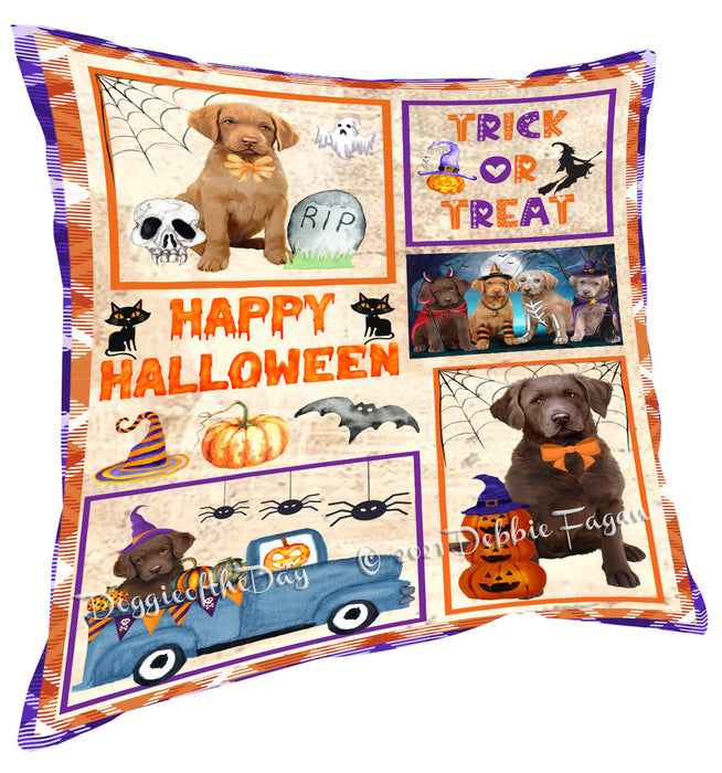 Happy Halloween Trick or Treat Chesapeake Bay Retriever Dogs Pillow with Top Quality High-Resolution Images - Ultra Soft Pet Pillows for Sleeping - Reversible & Comfort - Ideal Gift for Dog Lover - Cushion for Sofa Couch Bed - 100% Polyester, PILA88216