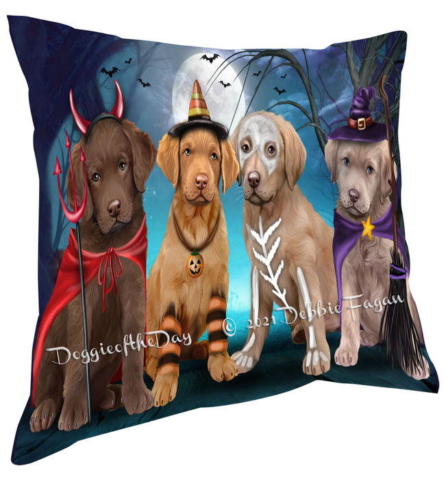 Happy Halloween Trick or Treat Chesapeake Bay Retriever Dogs Pillow with Top Quality High-Resolution Images - Ultra Soft Pet Pillows for Sleeping - Reversible & Comfort - Ideal Gift for Dog Lover - Cushion for Sofa Couch Bed - 100% Polyester, PILA88495