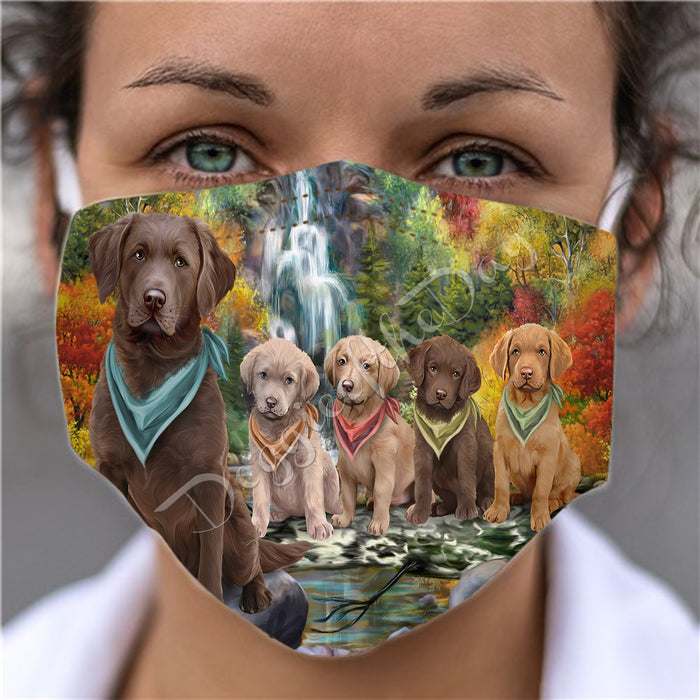 Scenic Waterfall Chesapeake Bay Retriever Dogs Face Mask FM49289