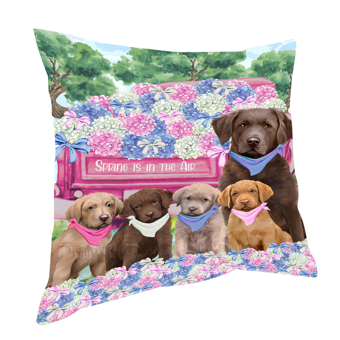 Chesapeake Bay Retriever Throw Pillow: Explore a Variety of Designs, Custom, Cushion Pillows for Sofa Couch Bed, Personalized, Dog Lover's Gifts