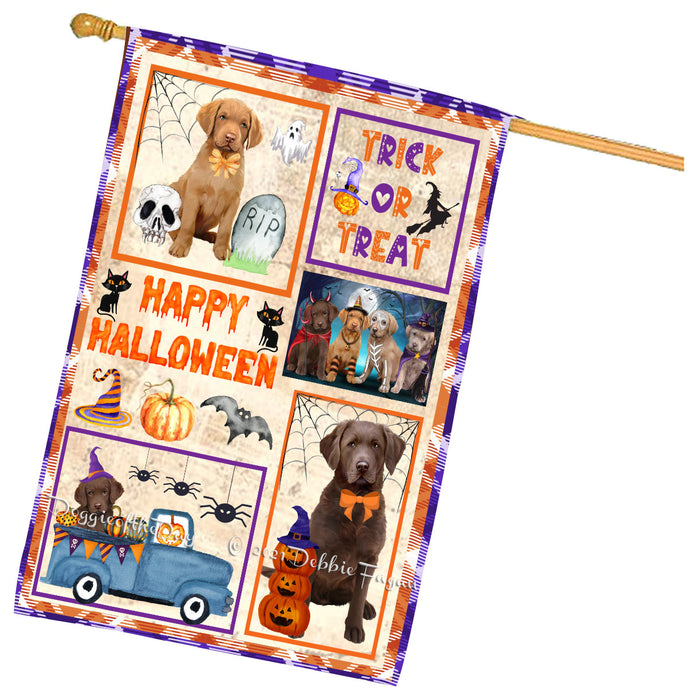 Happy Halloween Trick or Treat Chesapeake Bay Retriever Dogs House Flag Outdoor Decorative Double Sided Pet Portrait Weather Resistant Premium Quality Animal Printed Home Decorative Flags 100% Polyester
