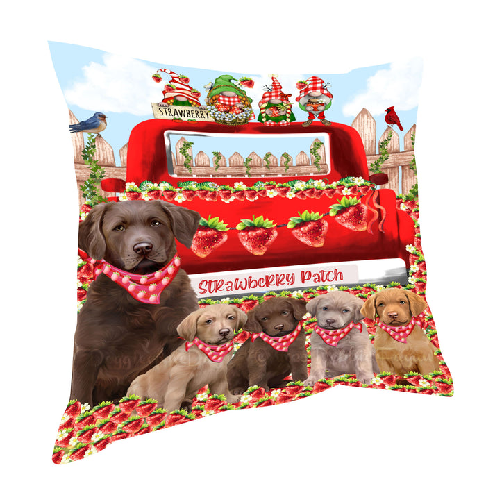 Chesapeake Bay Retriever Pillow: Explore a Variety of Designs, Custom, Personalized, Pet Cushion for Sofa Couch Bed, Halloween Gift for Dog Lovers