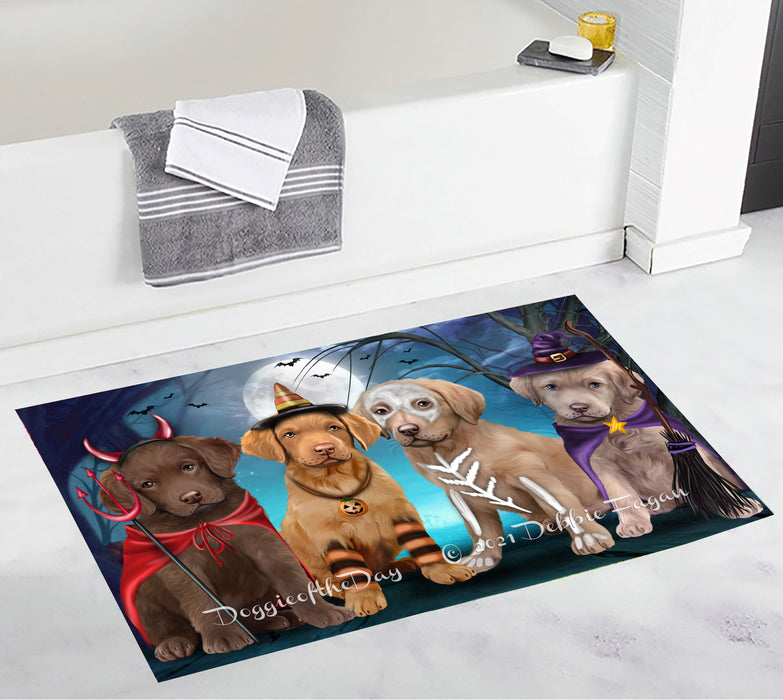 Happy Halloween Trick or Treat Chesapeake Bay Retriever Dogs Bathroom Rugs with Non Slip Soft Bath Mat for Tub BRUG54925
