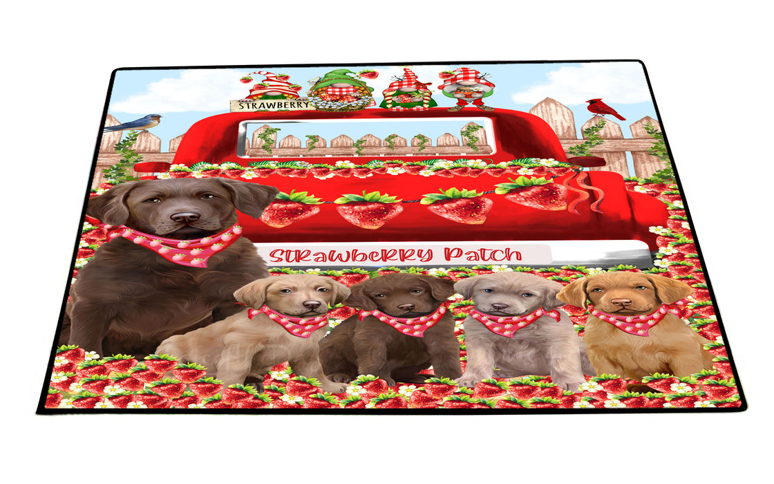Chesapeake Bay Retriever Floor Mat: Explore a Variety of Designs, Anti-Slip Doormat for Indoor and Outdoor Welcome Mats, Personalized, Custom, Pet and Dog Lovers Gift