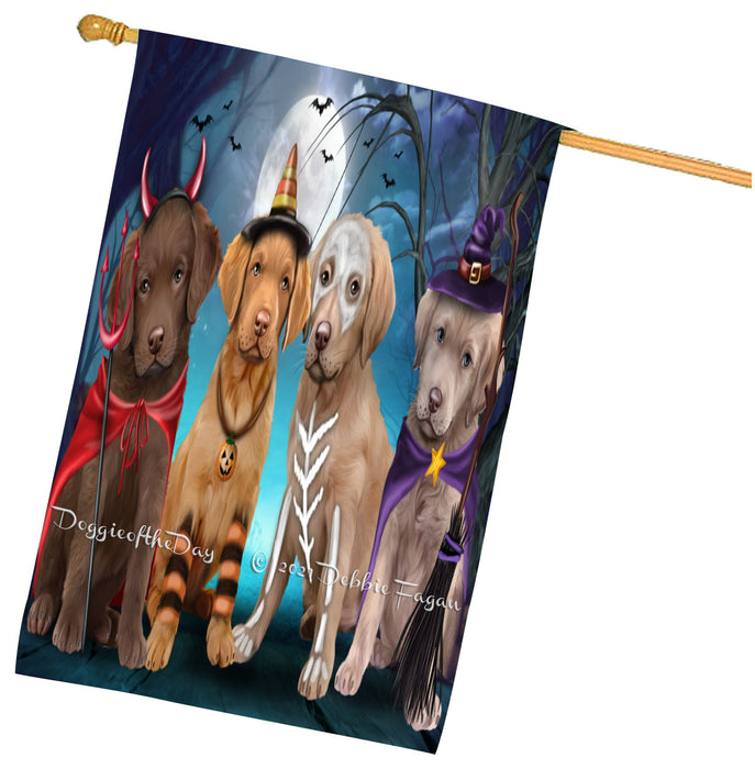 Halloween Trick or Treat Chesapeake Bay Retriever Dogs House Flag Outdoor Decorative Double Sided Pet Portrait Weather Resistant Premium Quality Animal Printed Home Decorative Flags 100% Polyester