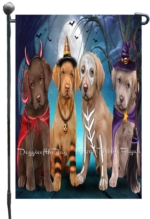 Happy Halloween Trick or Treat Chesapeake Bay Retriever Dogs Garden Flags- Outdoor Double Sided Garden Yard Porch Lawn Spring Decorative Vertical Home Flags 12 1/2"w x 18"h