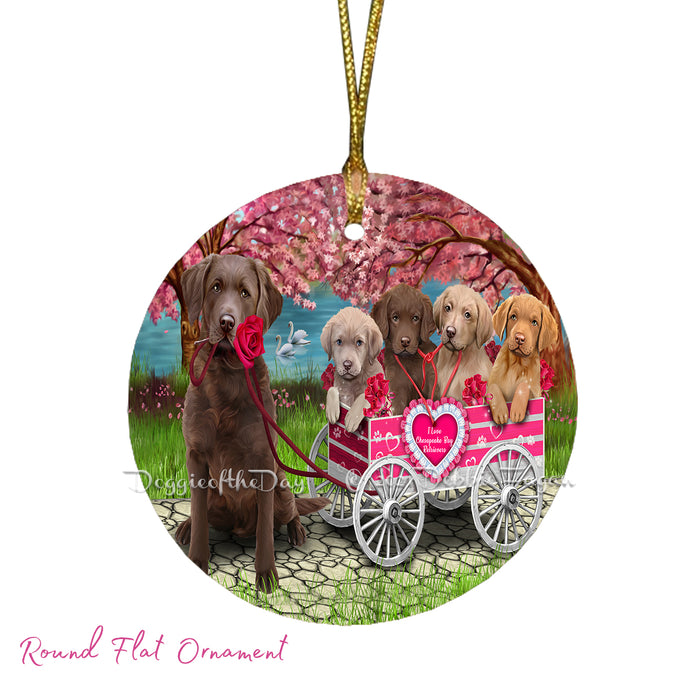 Mother's Day Gift Basket Chesapeake Bay Retriever Dogs Blanket, Pillow, Coasters, Magnet, Coffee Mug and Ornament