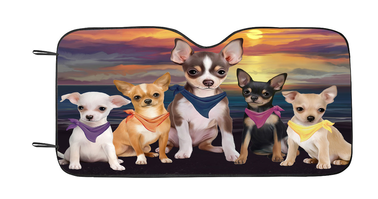 Family Sunset Portrait Chihuahua Dogs Car Sun Shade