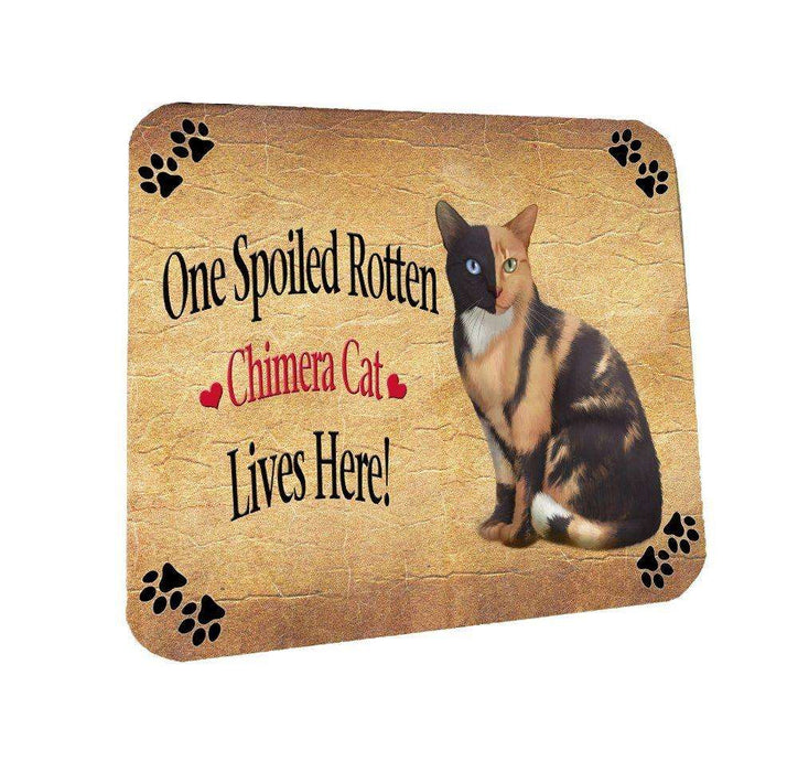 Chimera Spoiled Rotten Cat Coasters Set of 4
