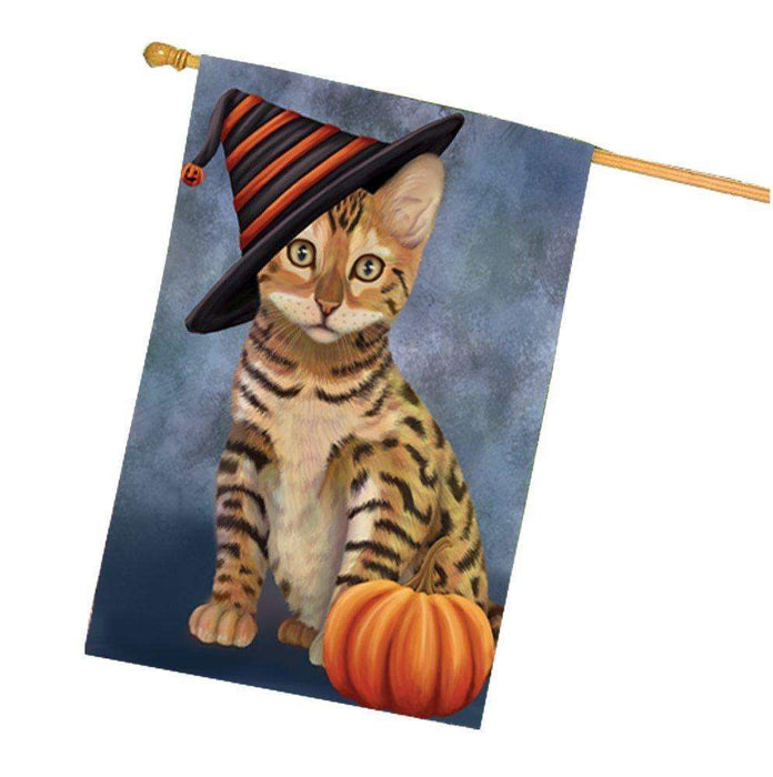 Chinese Li Hua Kitten Cat Wearing Witch Hat with Pumpkin House Flag