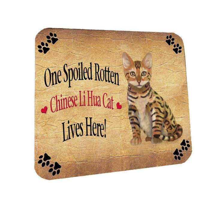 Chinese Li Hua Kitten Spoiled Rotten Cat Coasters Set of 4