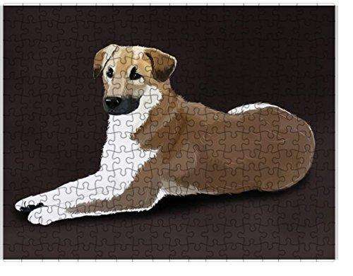 Chinook Dog Puzzle with Photo Tin