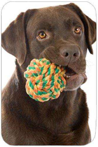 Chocolate Labrador Retriever with Toy Tempered Cutting Board