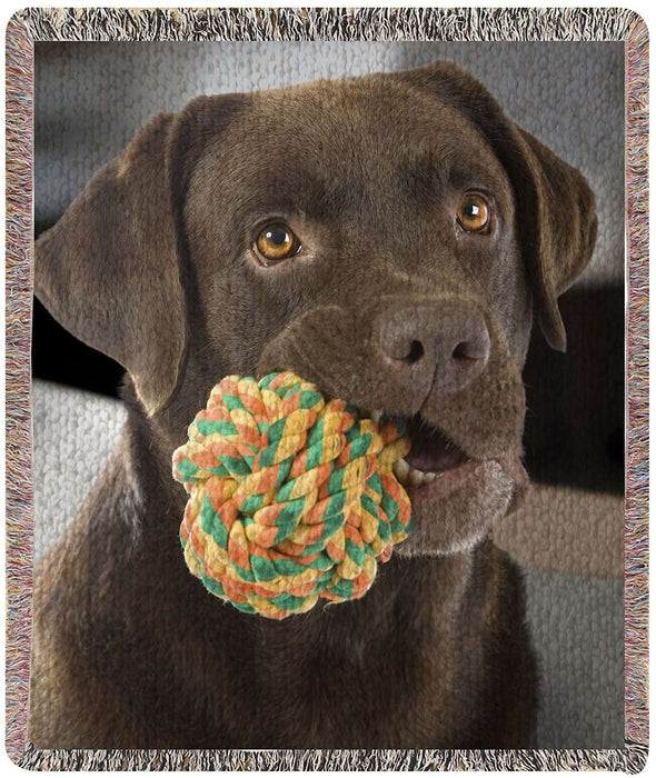 Chocolate Labrador Woven Throw Blanket 54 x 38