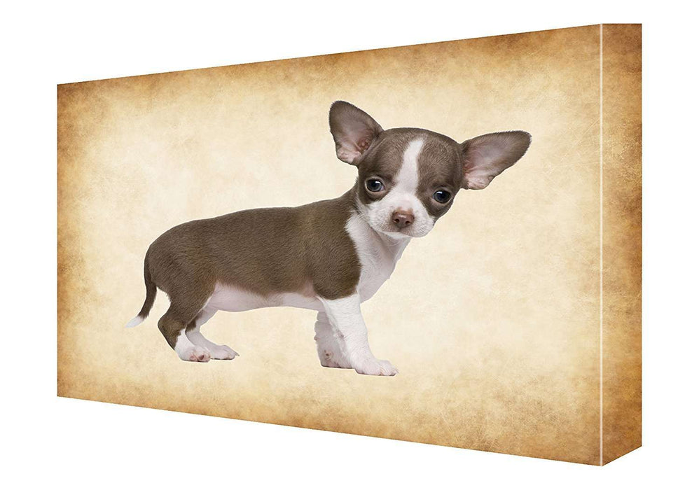 Chocolate White Chihuahua Puppy Dog Canvas