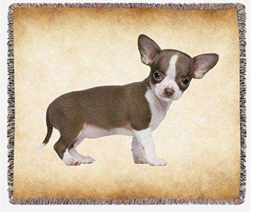 Chocolate White Chihuahua Puppy Woven Throw Blanket 54 X 38