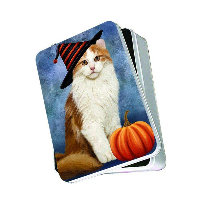 Christmas Happy Holidays American Curl Cat Wearing Witch Hat Photo Storage Tin PTIN0037