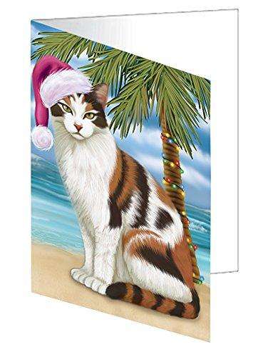 Christmas Happy Holidays Summer Time Calico Cat on Beach Handmade Artwork Assorted Pets Greeting Cards and Note Cards with Envelopes for All Occasions and Holiday Seasons GCD1980