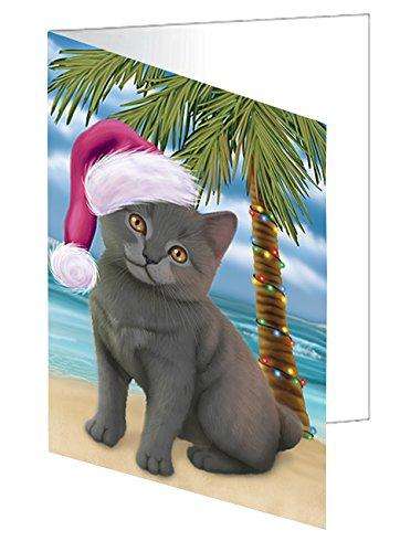 Christmas Happy Holidays Summer Time Chartreux Kitten on Beach Handmade Artwork Assorted Pets Greeting Cards and Note Cards with Envelopes for All Occasions and Holiday Seasons GCD1990