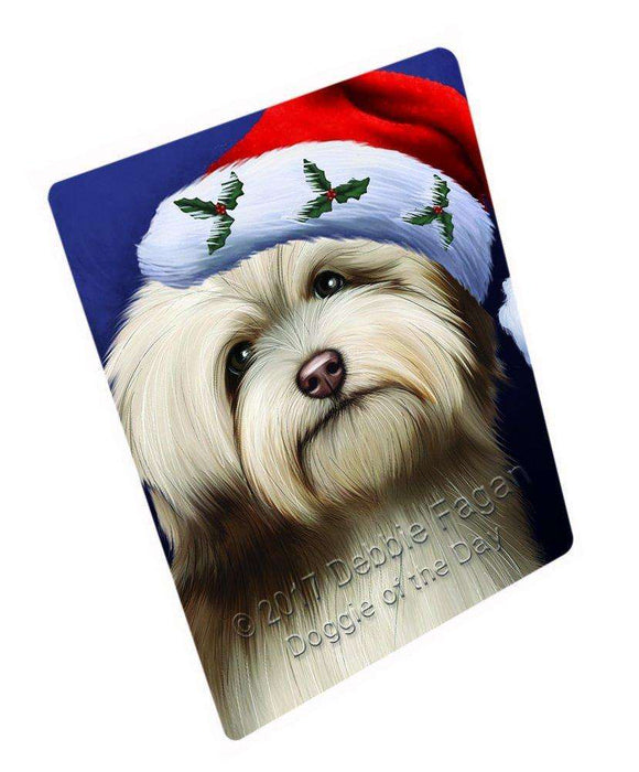 Christmas Havanese Dog Holiday Portrait with Santa Hat Art Portrait Print Woven Throw Sherpa Plush Fleece Blanket D123