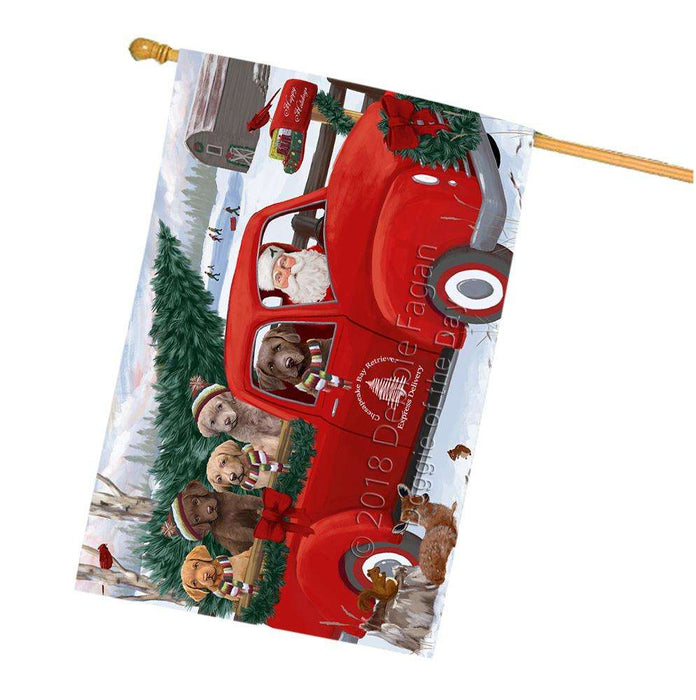 Christmas Santa Express Delivery Chesapeake Bay Retrievers Dog Family House Flag FLG55227