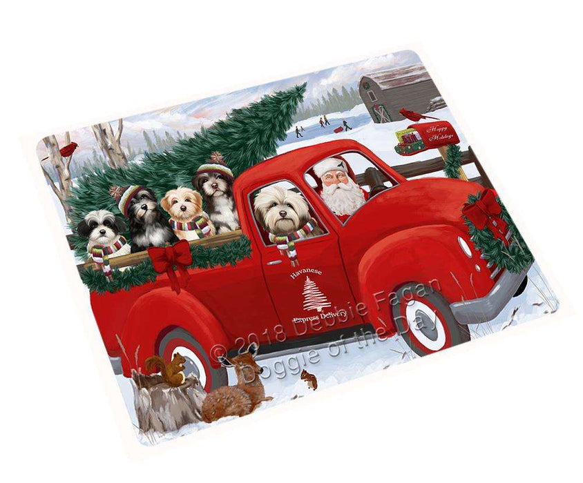 Christmas Santa Express Delivery Havaneses Dog Family Large Refrigerator / Dishwasher Magnet RMAG91152