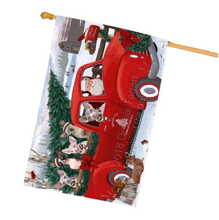 Christmas Santa Express Delivery Sphynx Cats Family House Flag FLG55273