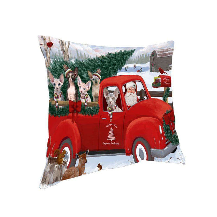 Christmas Santa Express Delivery Sphynx Cats Family Pillow PIL76648