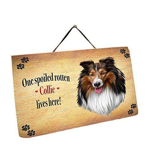 Collie Dog Wall Décor Hanging Spoiled Rotten Dog Slate