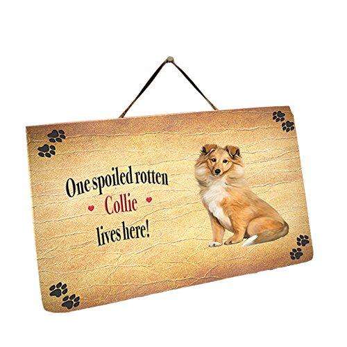 Collie Dog Wall Décor Hanging Spoiled Rotten Dog Slate