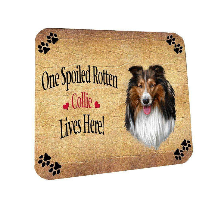 Collie Spoiled Rotten Dog Coasters Set of 4