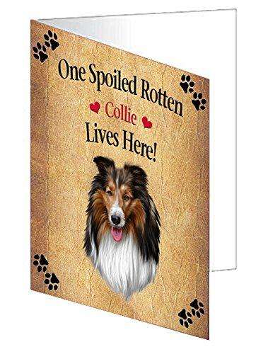 Collie Spoiled Rotten Dog Handmade Artwork Assorted Pets Greeting Cards and Note Cards with Envelopes for All Occasions and Holiday Seasons