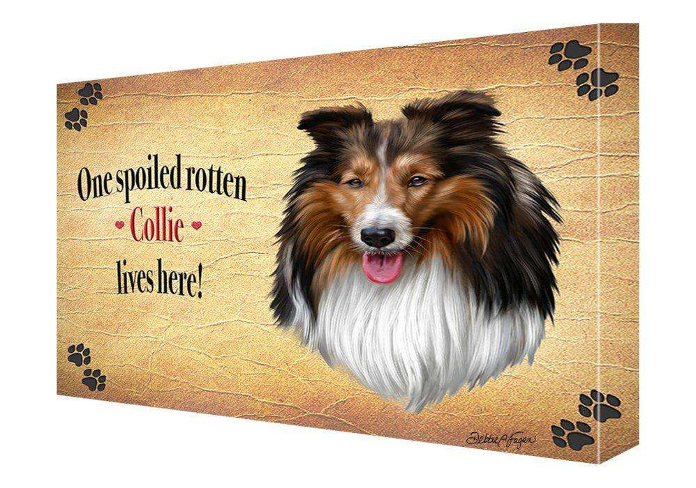 Collie Spoiled Rotten Dog Painting Printed on Canvas Wall Art Signed