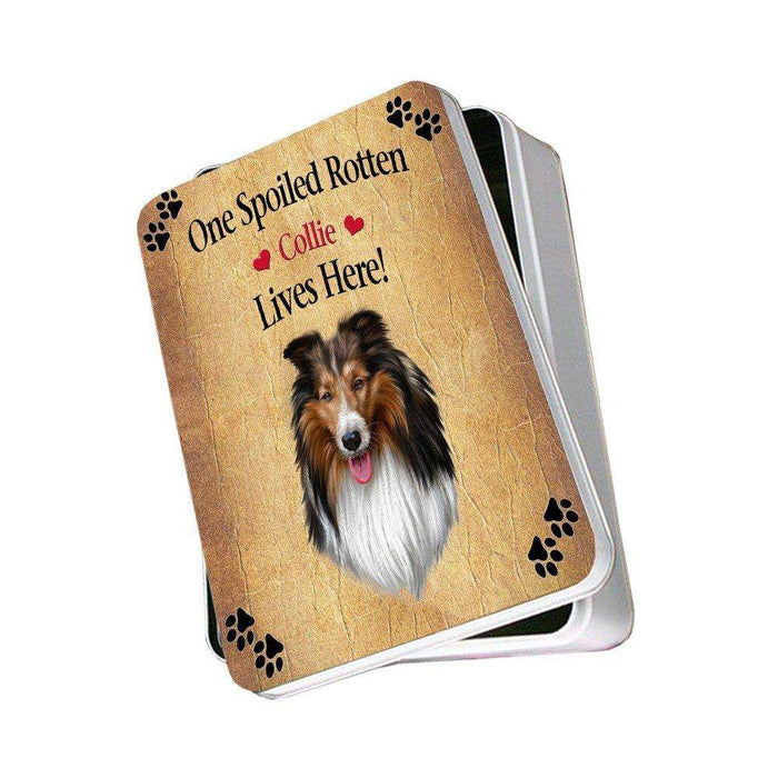 Collie Spoiled Rotten Dog Photo Storage Tin
