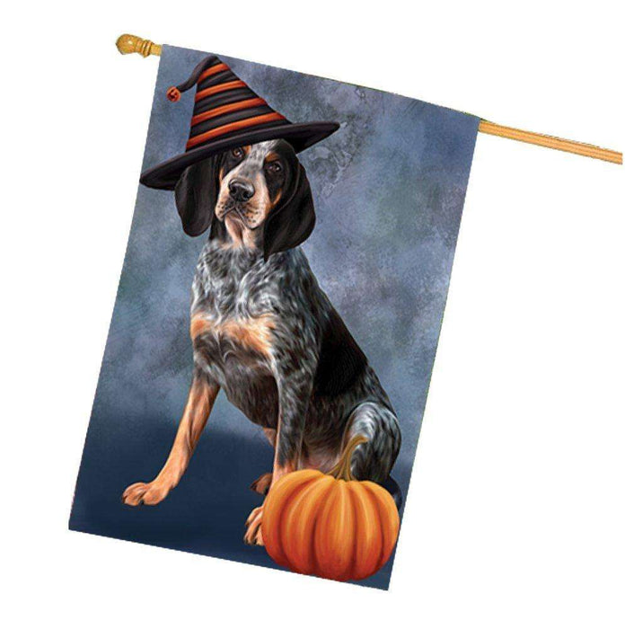 Coonhound Bluetick Dog Wearing Witch Hat with Pumpkin House Flag