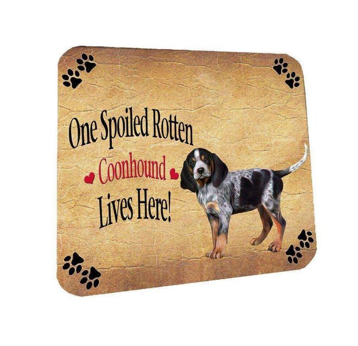 Coonhound Bluetick Puppy Spoiled Rotten Dog Coasters Set of 4