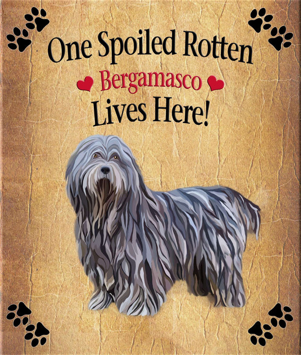 Spoiled Rotten Dog or Cat Magnet Over 100 Breeds Available